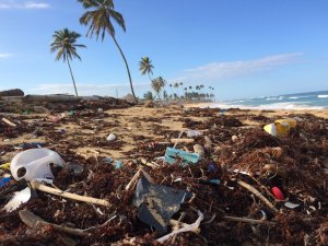 Litter on the beach